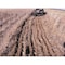Yard Tuff ATV Single Gang Disc ATV-51SGDH - alternate 3